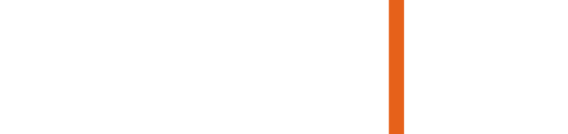 Logo Light